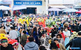 Tản mạn về Kỳ Lừa
