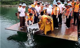 Giáo hội Phật giáo Việt Nam hướng dẫn thực hành phóng sinh đúng chính pháp trong mùa Vu lan