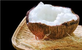 The century-long journey of the wax coconut