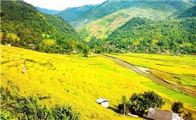 Những điều chỉ có ở mùa vàng Tú Lệ