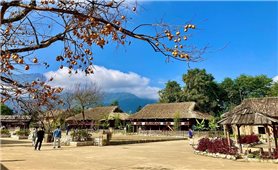 Identifying ethnic minority resources for national development