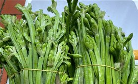 Kèo nèo - đặc sản mùa nước nổi