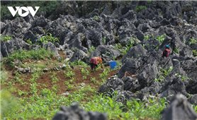 Folk knowledge of the Mong people regarding climate change adaptation in the Northern mountainous region