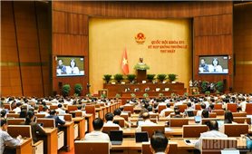Quốc hội thảo luận dự án Luật Phát triển đô thị và các dự thảo nghị quyết quan trọng