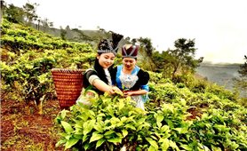 Hướng phát triển mới ở Huồi Tụ