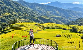 Hồ Thầu - Mùa vàng di sản, khát vọng vươn xa