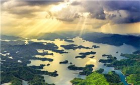 Tà Đùng, vịnh xanh giữa đại ngàn