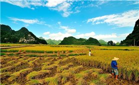 Cao Bằng: Phát huy hiệu quả vai trò của Người có uy tín thông qua các lớp bồi dưỡng kiến thức, cung cấp thông tin