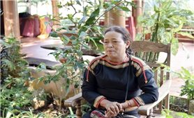 Đưa văn hóa dân tộc hòa vào đời sống đương đại để bảo tồn và phát triển bền vững