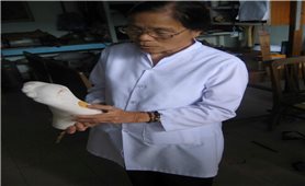 Sister (Nun) Mai Thi Mau: An exemplar of living the gospel spirit in the midst of the nation