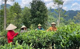 Chương trình MTQG 417: Kỳ vọng vào một giai đoạn phát triển mới cho khu vực miền núi phía Bắc
