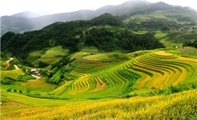 Chương trình MTQG 417: Từ đầu tư nguồn lực đến kiến tạo năng lực phát triển bền vững vùng đồng bào dân tộc thiểu số