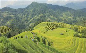 Chương trình MTQG: Nền tảng cho tăng trưởng nhanh, bền vững và bao trùm