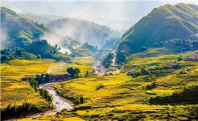 Chương trình MTQG 417: Tích hợp để tạo sức bật mới cho vùng đồng bào dân tộc thiểu số và miền núi