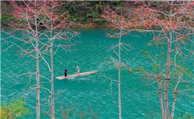 Tuyên Quang nâng cao năng lực đội ngũ Người có uy tín đáp ứng yêu cầu phát triển mới