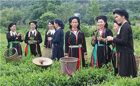 Chuyển đổi số trong thực hiện Chương trình MTQG 417: Từ quản lý đến quản trị phát triển vùng đồng bào dân tộc thiểu số