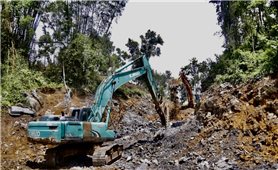 Lạng Sơn: Động lực mới để phát triển nông thôn bền vững