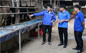 Tuổi trẻ Lâm Đồng tích cực lập thân, lập nghiệp tại quê hương