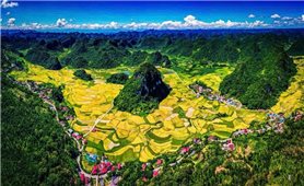 Phát huy hiệu quả nguồn lực tôn giáo trong thực hiện hiệu quả các Chương trình mục tiêu quốc gia ở Cao Bằng