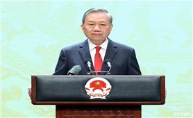 Thư của Tổng Bí thư, Chủ tịch nước Tô Lâm gửi ngành giáo dục nhân dịp khai giảng năm học mới 2026-2027