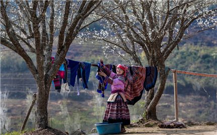 Bản giao hưởng sắc màu của người Mông