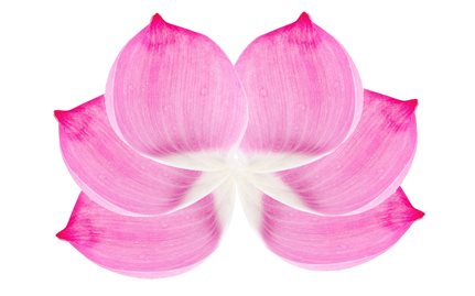 Phương thức lục thời sám hối trong Phật giáo