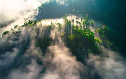 Thành phố Huế bảo tồn dân ca, dân vũ gắn với phát triển du lịch vùng đồng bào dân tộc thiểu số