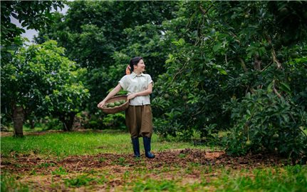 Khi quả bơ trở thành mỹ phẩm