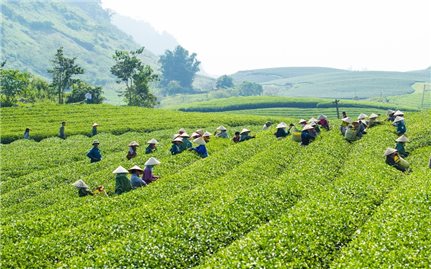 Hợp nhất bốn chương trình mục tiêu quốc gia - Tạo động lực phát triển mới cho vùng dân tộc thiểu số và miền núi