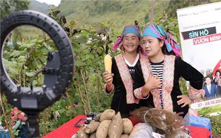 Thương mại điện tử mở lối cho nông sản Lai Châu