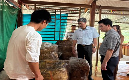 Kinh nghiệm của Hòa An trong quản lý và thực hiện các Chương trình mục tiêu quốc gia