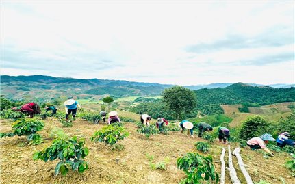 Sơn La: Thực hiện “Dân biết, dân bàn, dân làm, dân kiểm tra, dân giám sát, dân thụ hưởng” trong Chương trình MTQG