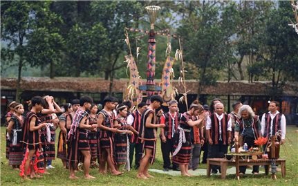 Những “đại thụ” phía thăm thẳm Trường Sơn