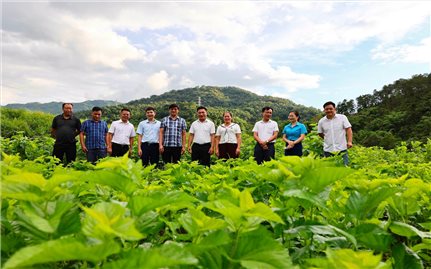 Cao Bằng: Đẩy mạnh truyền thông chính sách là giải pháp thực hiện hiệu quả Chương trình MTQG