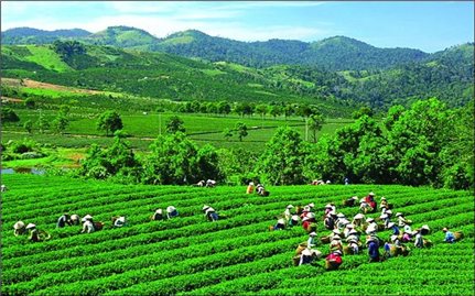 Thái Nguyên: Chương trình MTQG 417 đánh thức tiềm năng, lợi thế, thúc đẩy phát triển nhanh, bền vững