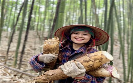 Bản làng thời số hóa