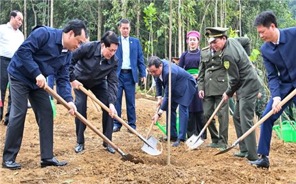 Chủ tịch nước Lương Cường: Tiếp tục đưa phong trào trồng cây đi vào chiều sâu, thực chất