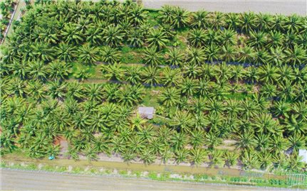 Từ nghề truyền thống đến thương hiệu Sokfarm