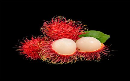 Ẩm thực miền Tây Nam Bộ