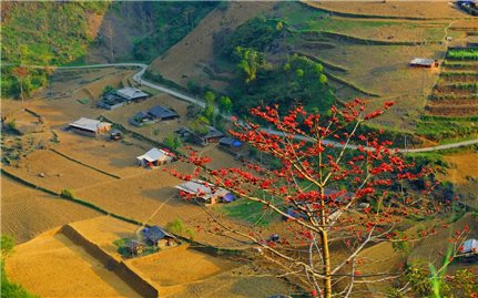 Tháng Ba - Mùa hoa gạo thắp lửa trời