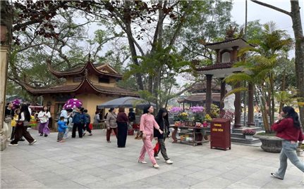 Tháng Giêng cầu may, cầu an ở đền Sòng Sơn