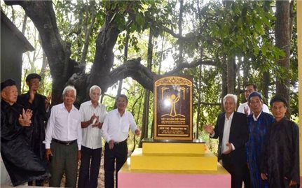 Vĩnh Long đón nhận Bằng công nhận Cây Di sản Việt Nam: Gìn giữ “chứng nhân sống” của lịch sử và văn hóa địa phương