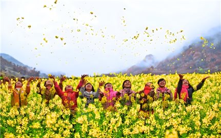 Losting between the season of blooming flowers on the stone plateau