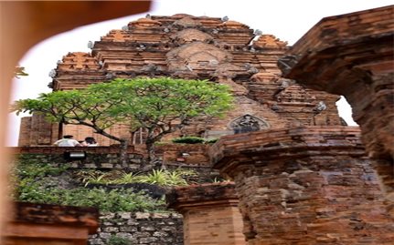 The mother’s symbol in the worship of the Mother Goddess in Vietnam