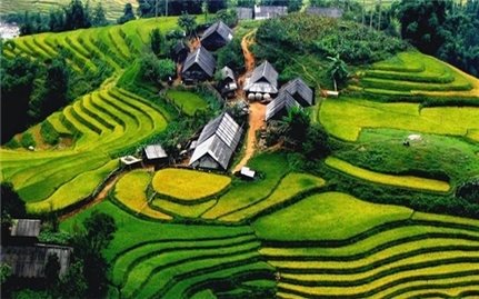 Phê duyệt và công bố danh sách tỉnh vùng đồng bào dân tộc thiểu số và miền núi giai đoạn 2026-2030