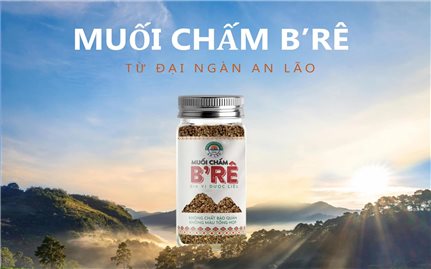 Muối chấm B'rê đậm đà hương vị đại ngàn