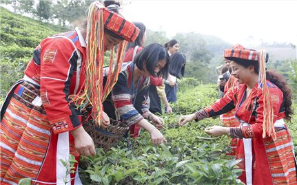 Nâng cao năng lực kinh tế cho phụ nữ dân tộc thiểu số