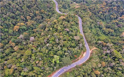 Măng Đen mùa bằng lăng thay lá