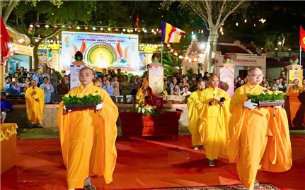Rực sáng 7 đóa sen trên Đầm Nại mùa Vesak 2026