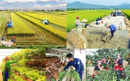 Đẩy nhanh tiến độ thực hiện Chương trình MTQG xây dựng nông thôn mới, giảm nghèo bền vững và phát triển KT-XH vùng dân tộc thiểu số và miền núi